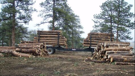 Log landing at MacGregor Ranch 